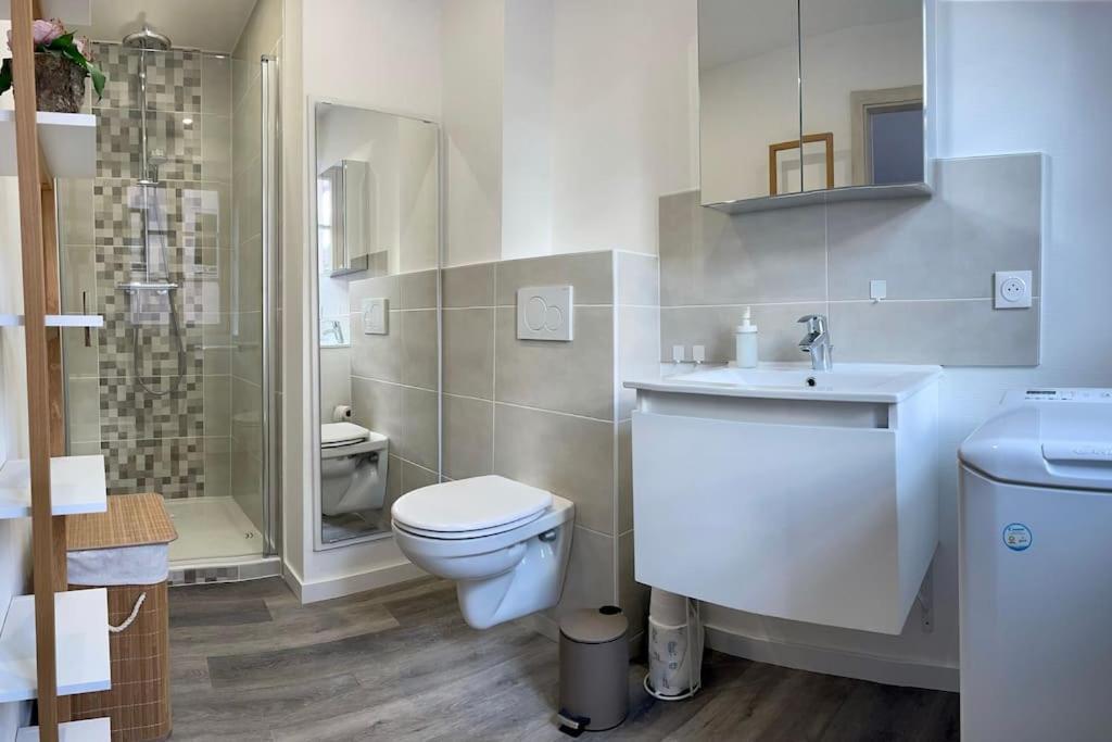 Appartement Le Bottier Alsacien à Sélestat Extérieur photo